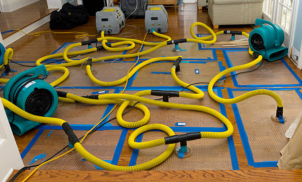Professional Burst Pipe Water Damage technician working in Lizton, IN